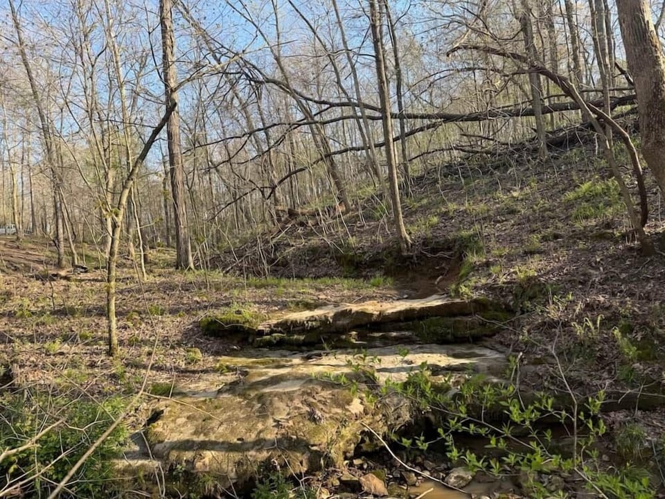 Creek and Water Falls