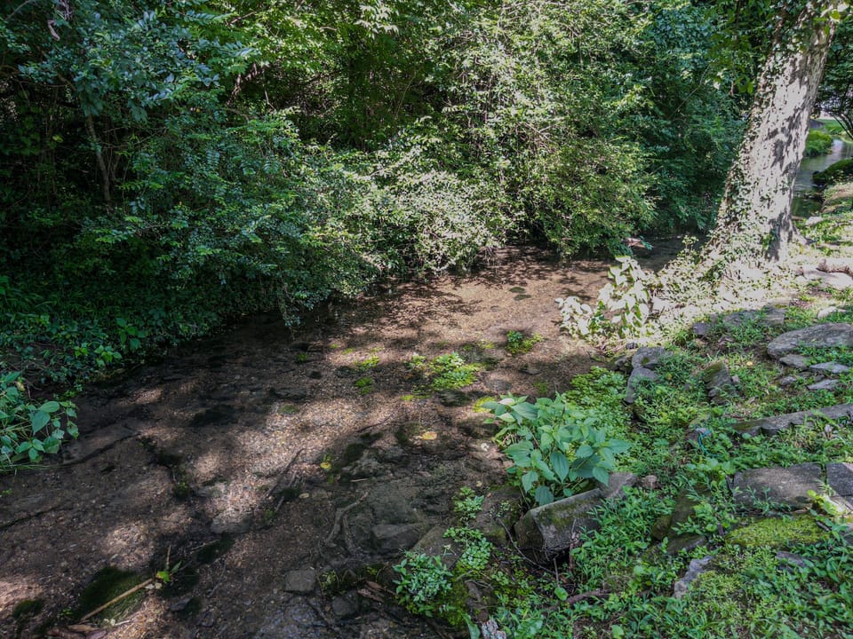 Natural Spring-Fed Creek
