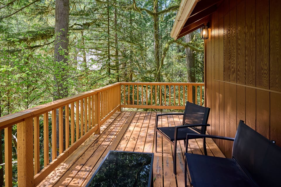 A balcony that delivers forest immersion without the hiking boots