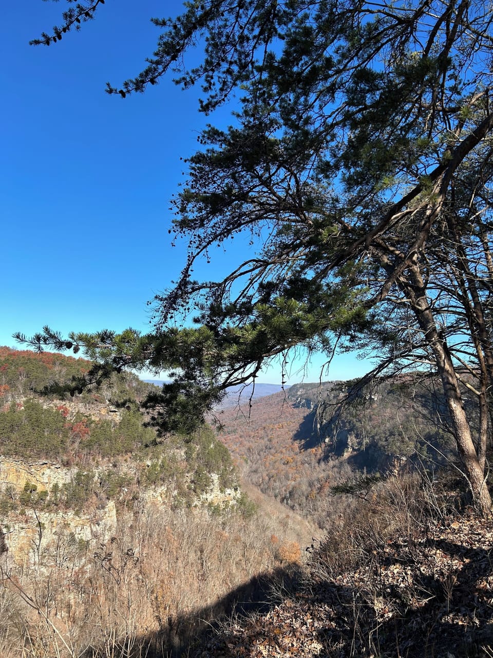 Cloudland Canyon State Park  - 3 minutes away