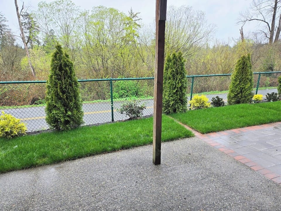 Covered patio with landscaped yard, fenced area, and serene nature views