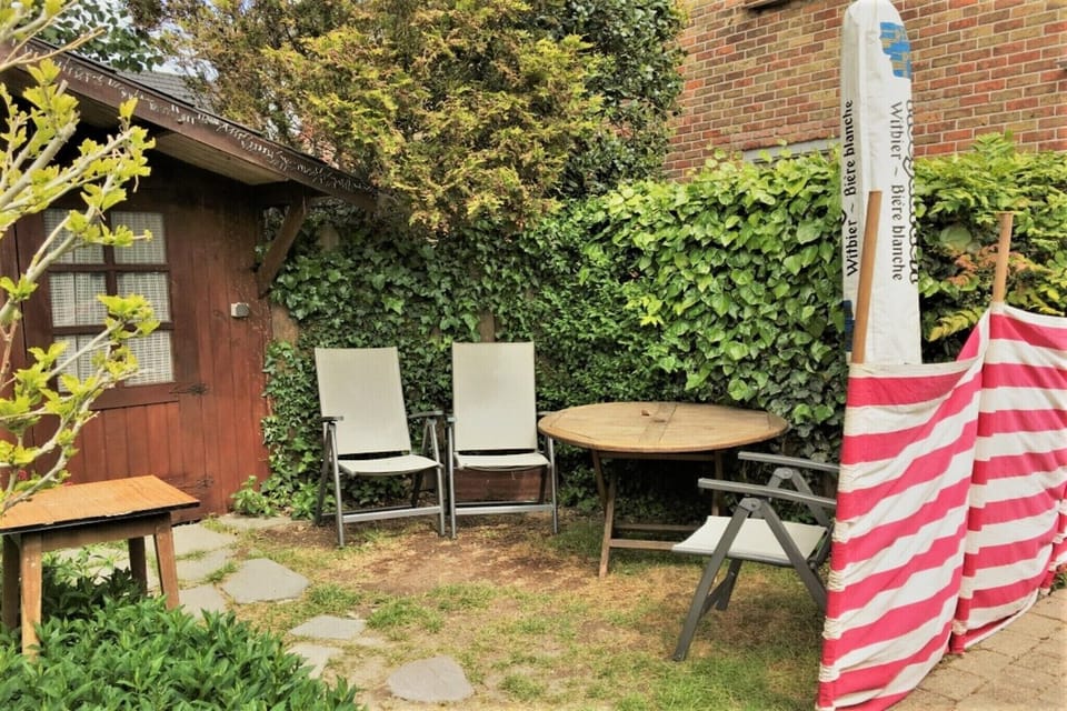 Garden [summer]