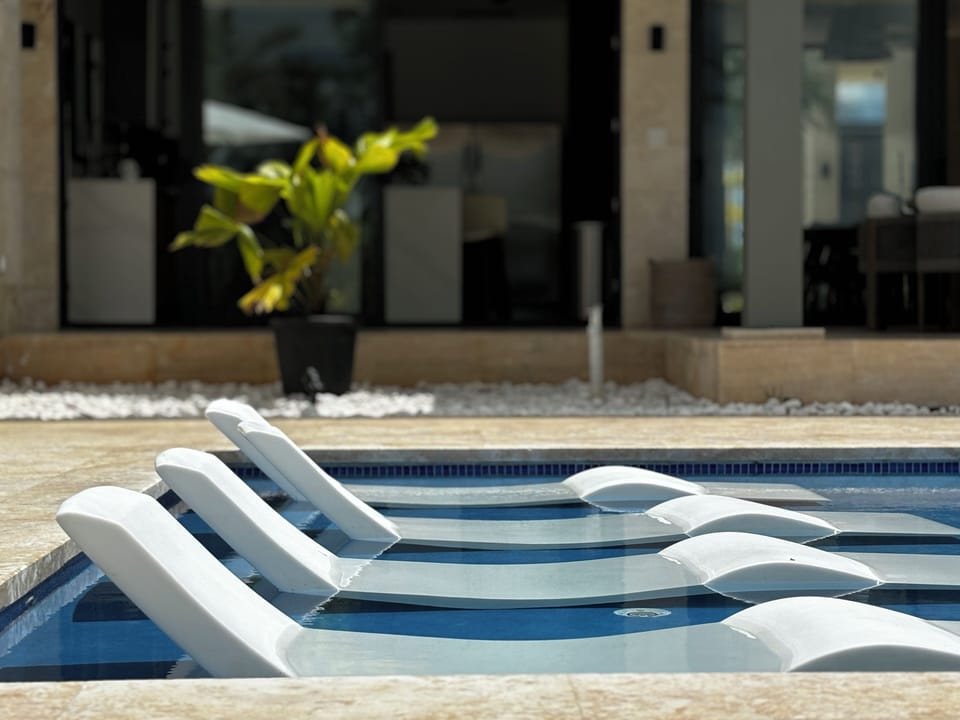 Pool Loungers