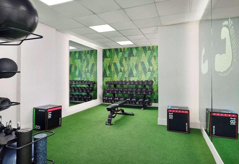 Train confidently with free weights and functional fitness space.