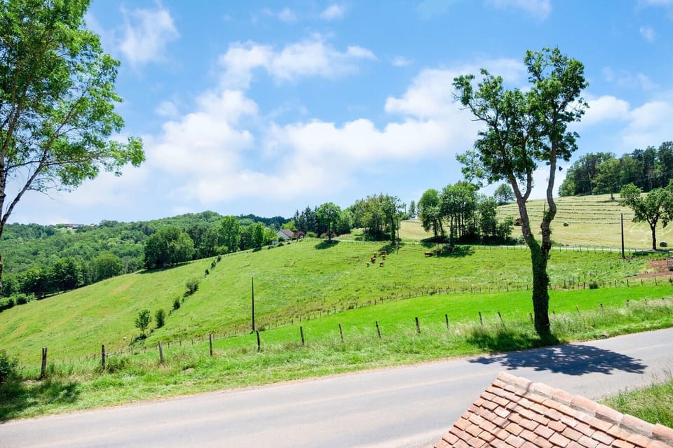 Immediate Surroundings [summer] (<1 km)