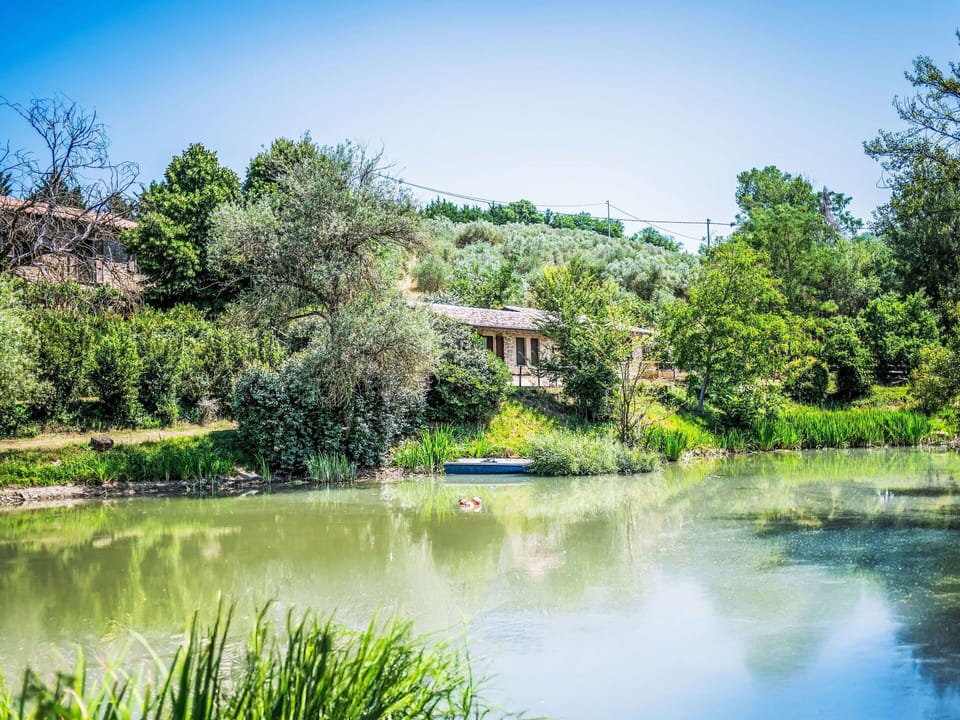 Water, Body Of Water, Water Resources, Nature, Vegetation, Natural Landscape, Watercourse, Reflection, Bank, Waterway