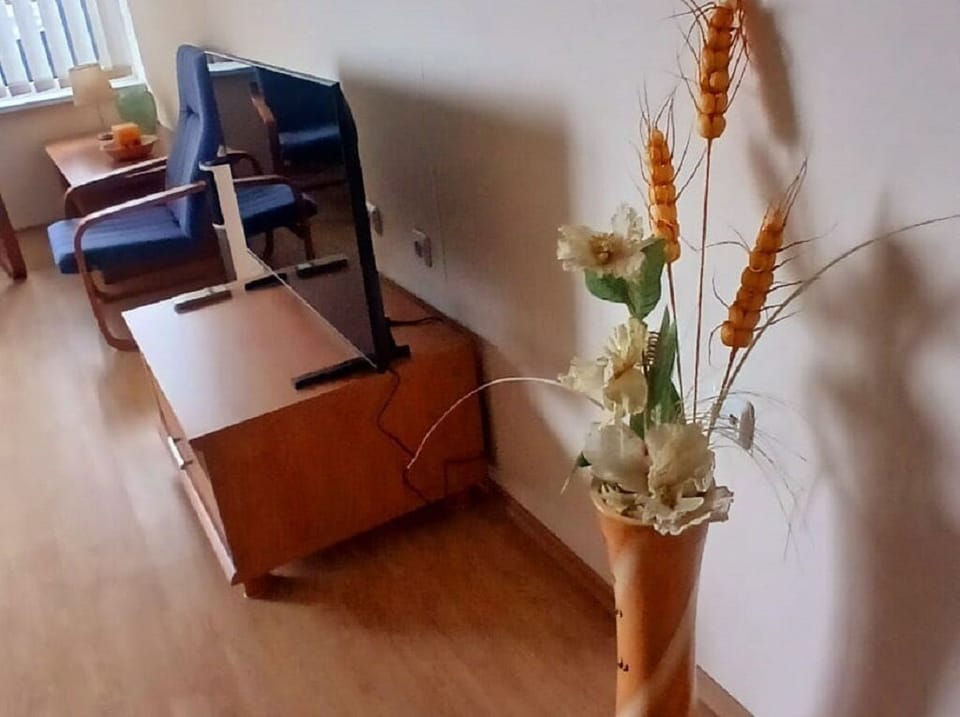 Television