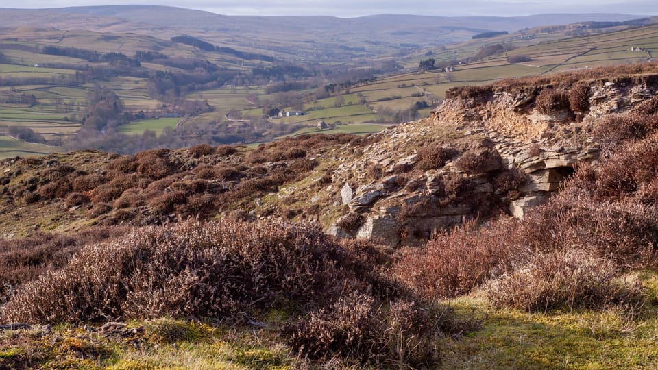 Pigswood Cottage - beautiful views in Weardale