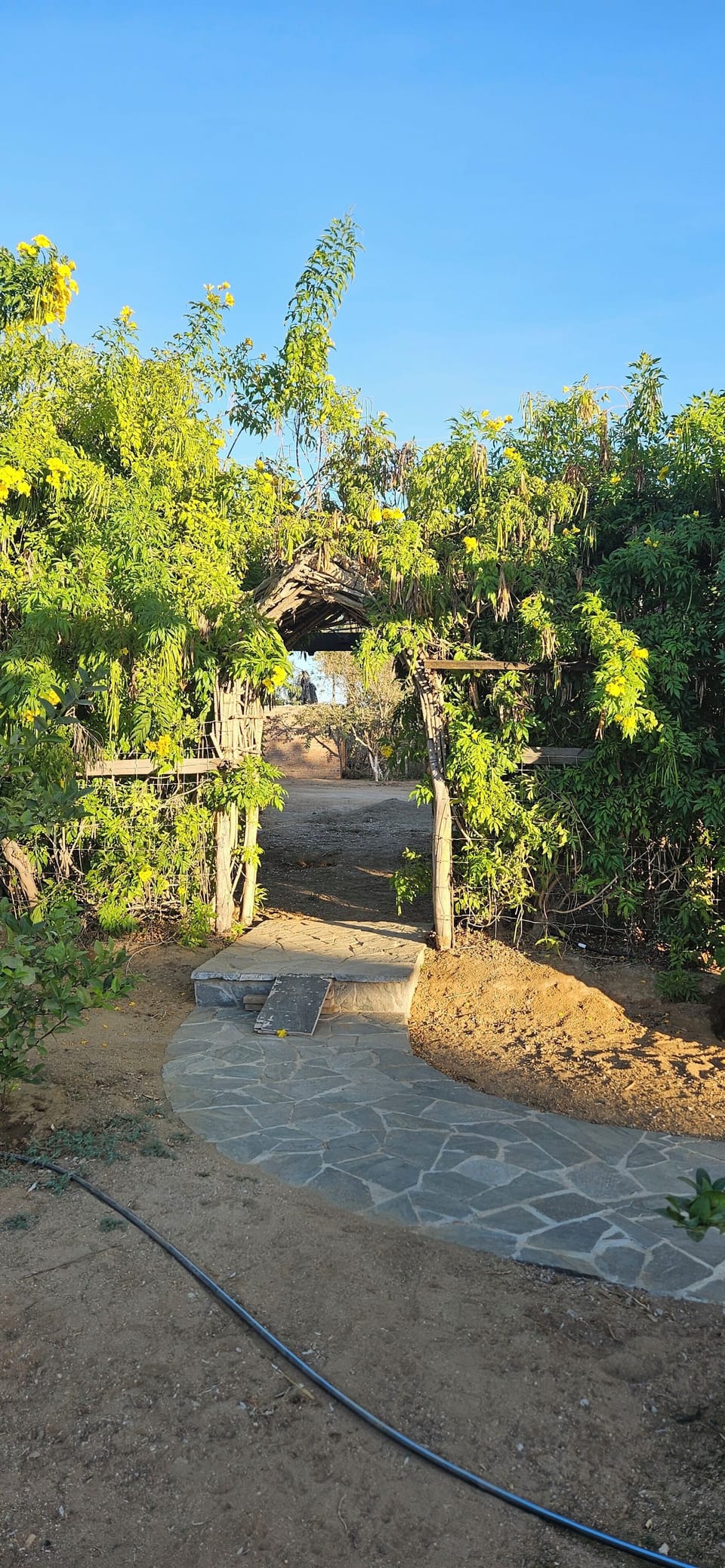 Entrance (1)