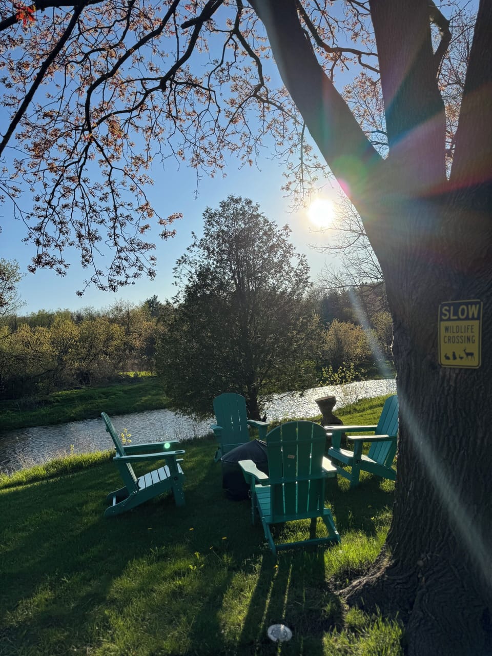 Credit River being the Muskoka chairs and pit