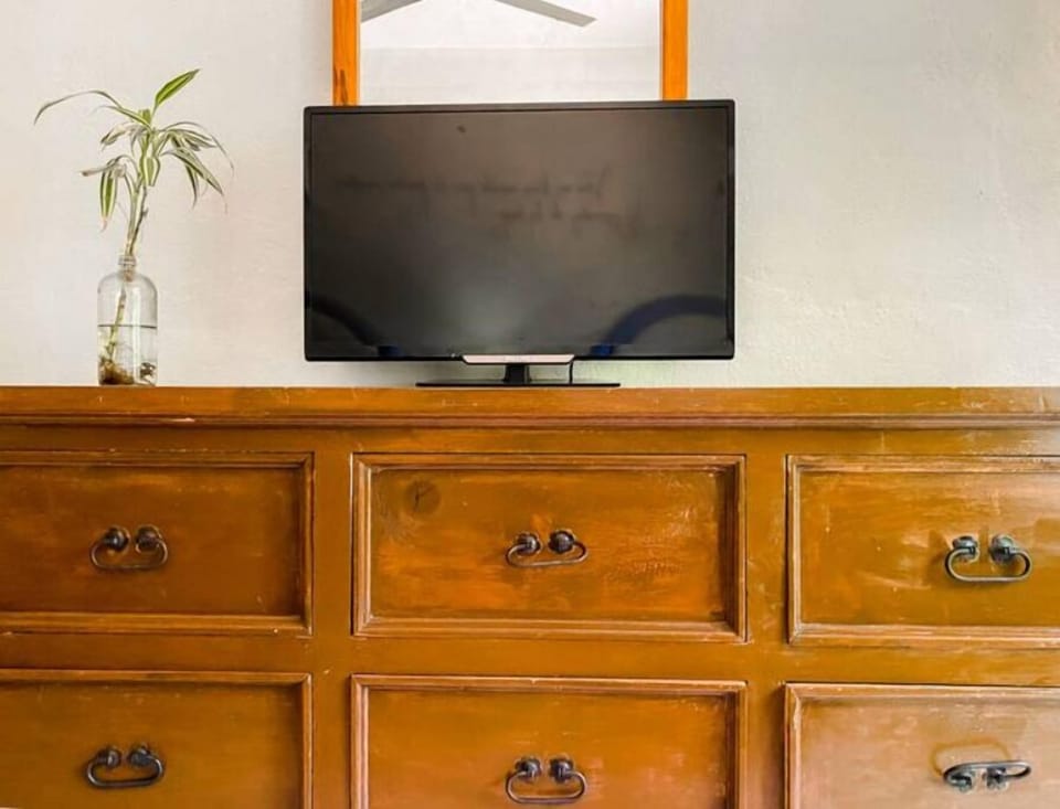 Television