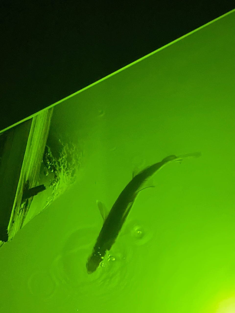 https://gallery.streamlinevrs.com/units-gallery/00/0E/7C/image_168384825.jpeg