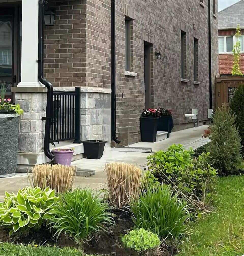 Front Yard