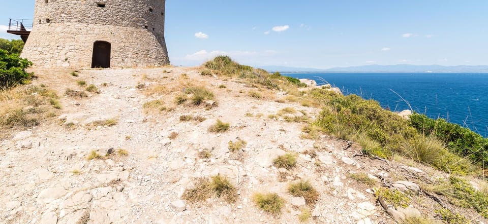 Immediate Surroundings [summer] (<1 km)