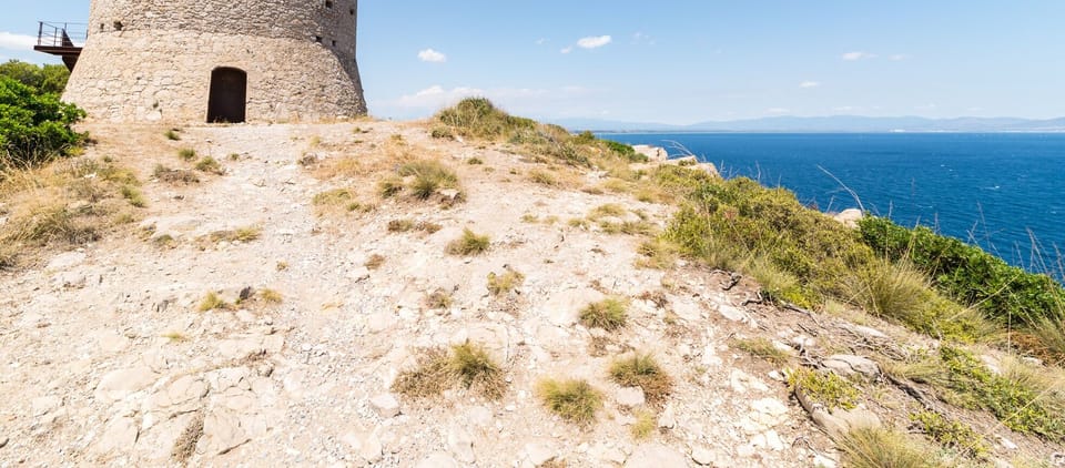 Immediate Surroundings [summer] (<1 km)
