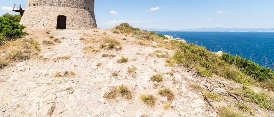 Immediate Surroundings [summer] (<1 km)
