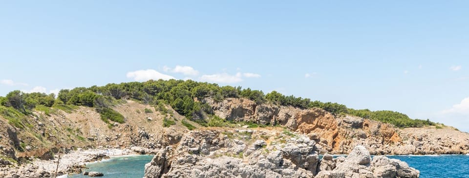 Region [summer] (>5 km)