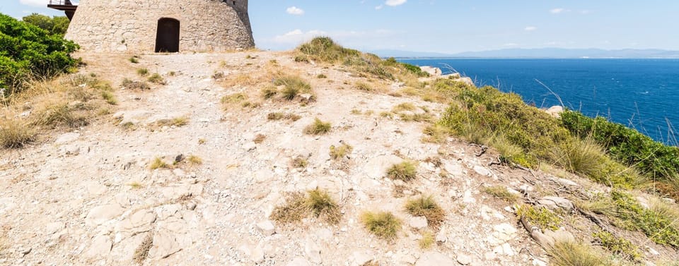Surroundings [summer] (1-5 km)
