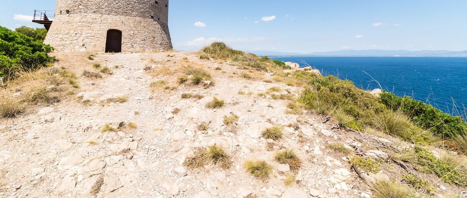 Surroundings [summer] (1-5 km)