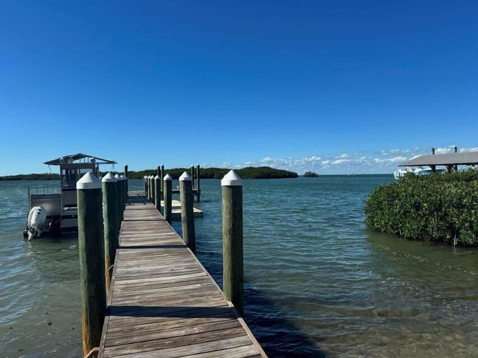 20250226141612055538000000-o