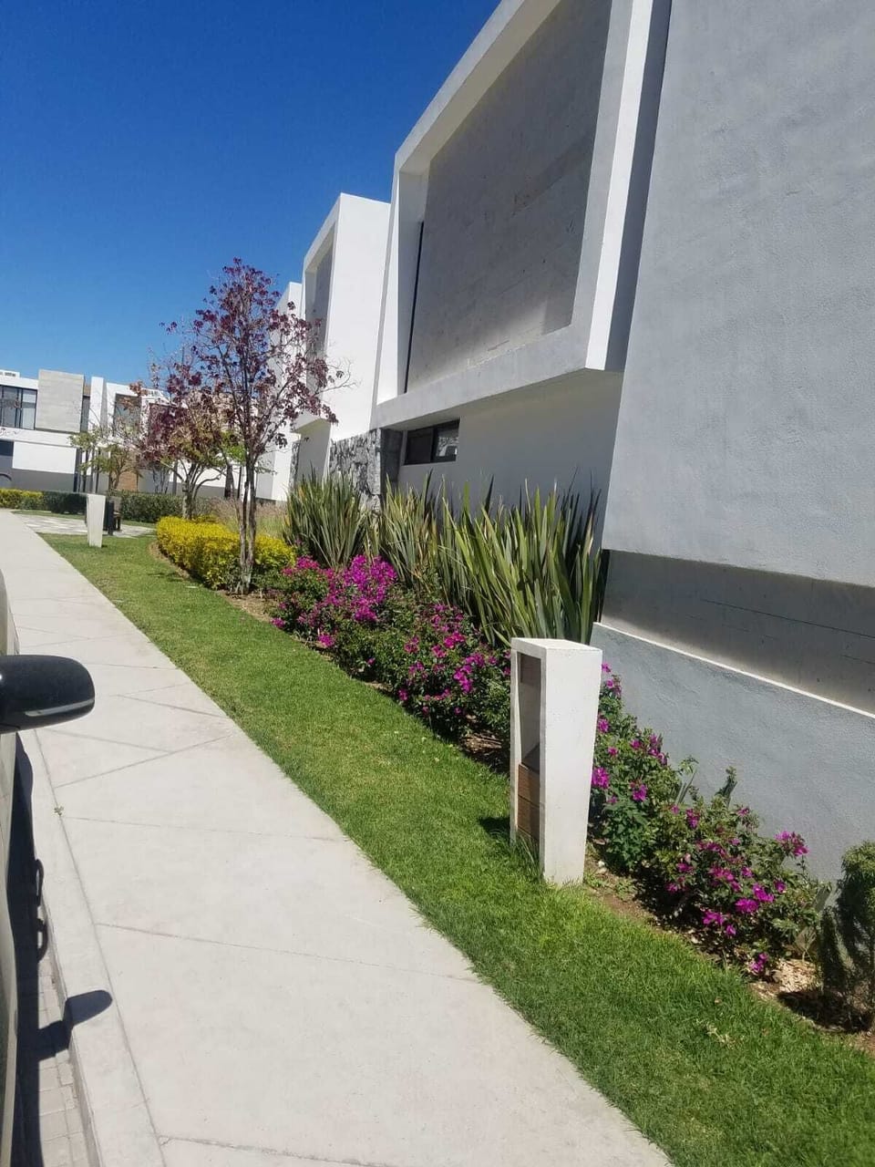 Property grounds