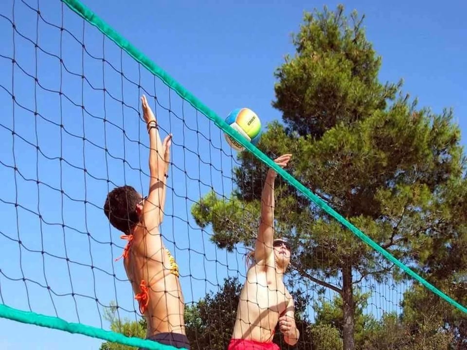 Sport court