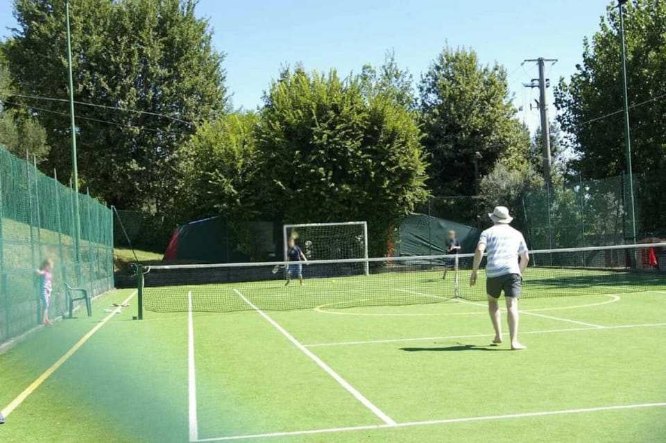 Sport court