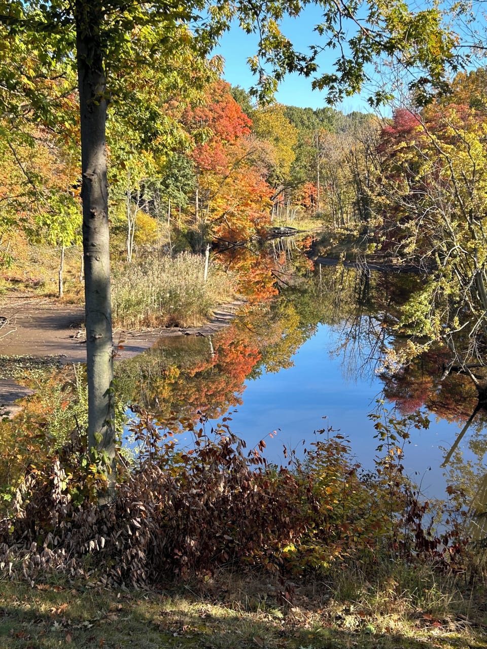 Fall Colors on the Black River