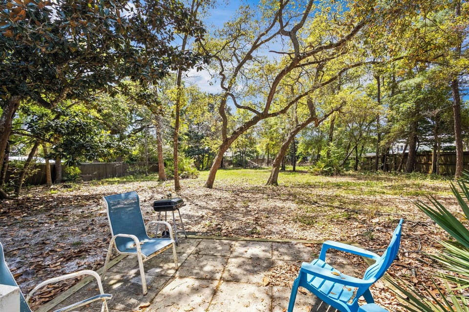 Backyard