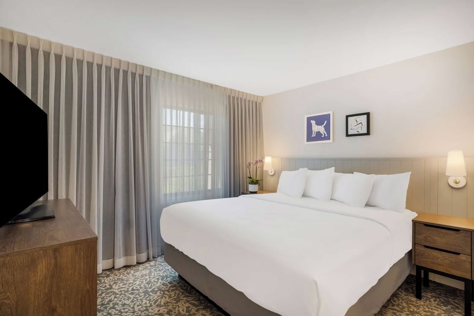 Unwind in a crisp king bed beside soft daylight.
