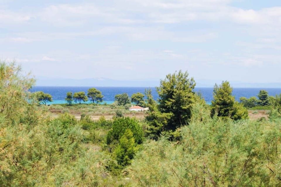 Seaviews from the room