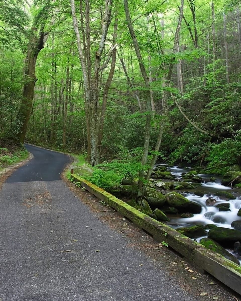 Smoky Mountain National Park