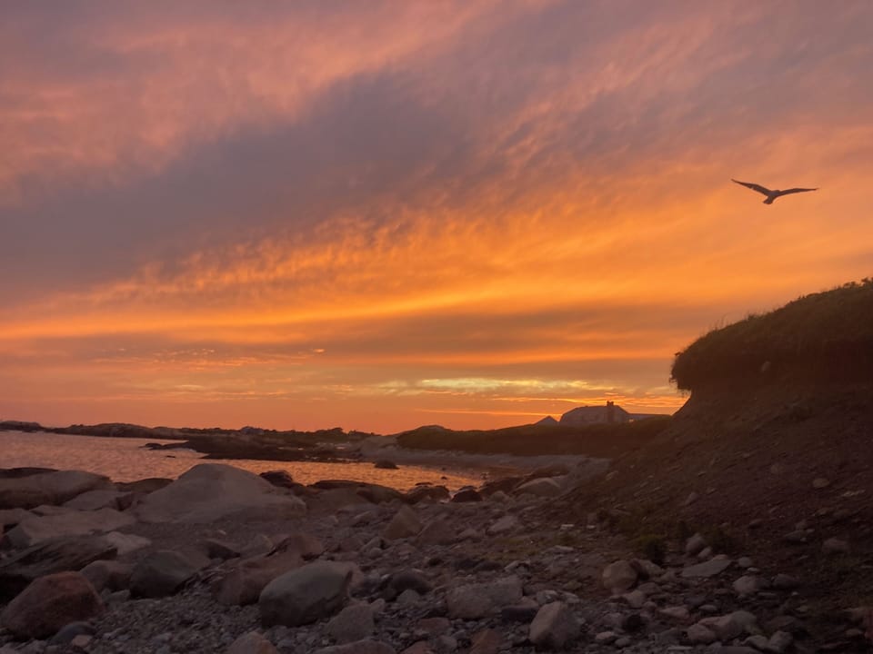 Spectacular sunsets over the water