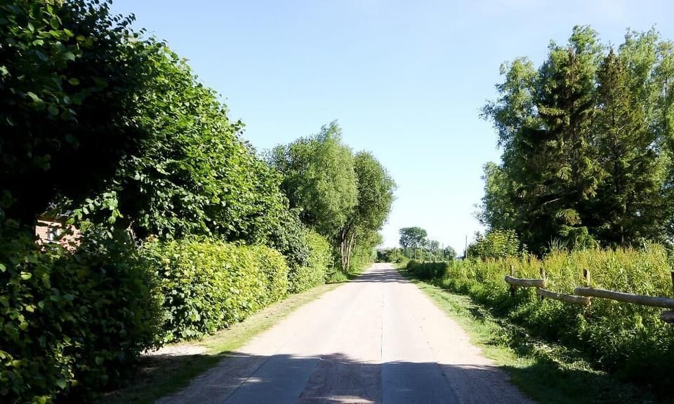 Scenic country road surrounded by trees
