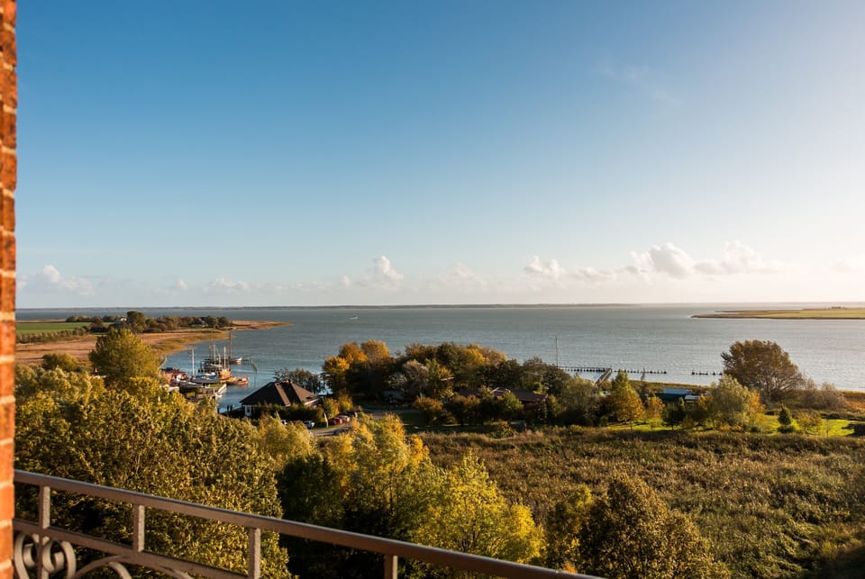 Aerial View of Landscape with Water and Boats