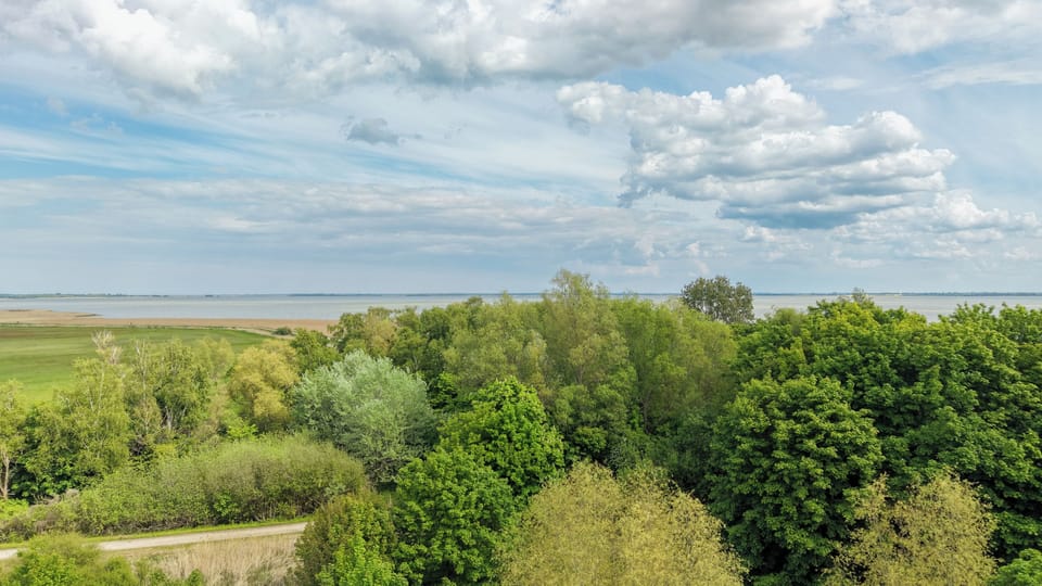 Bird's-eye view of green landscape and water