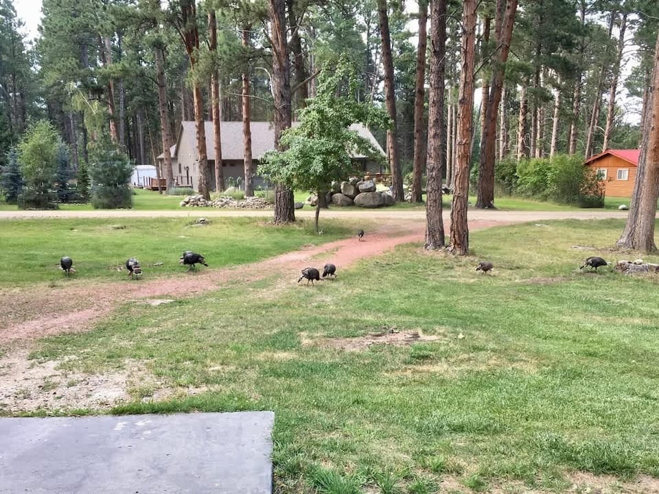 Front yard: Nothing going on around here, lets go check in the back.