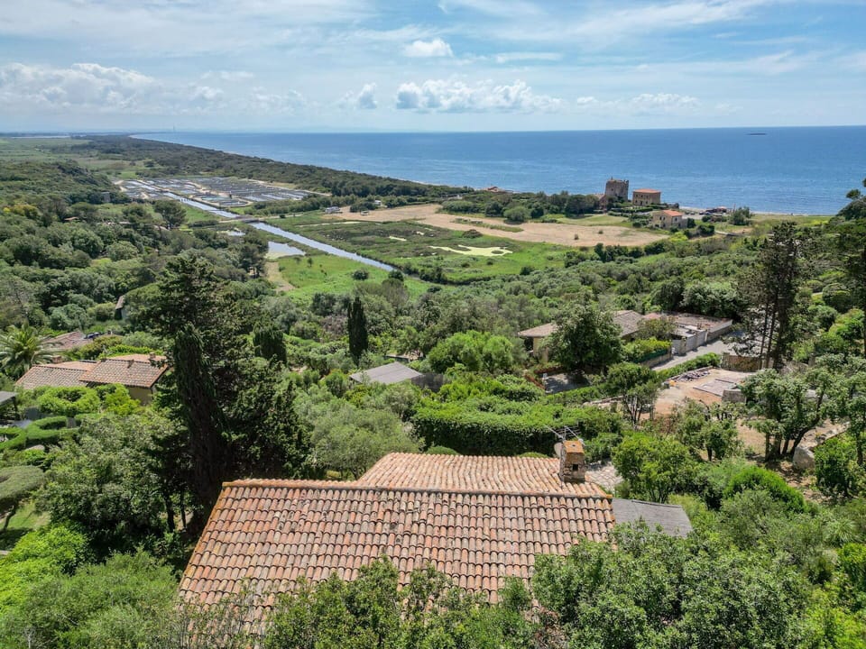 Sky, Tree, Vegetation, Horizon, Shrub, Landscape, Plant Community, Land Lot, Sea