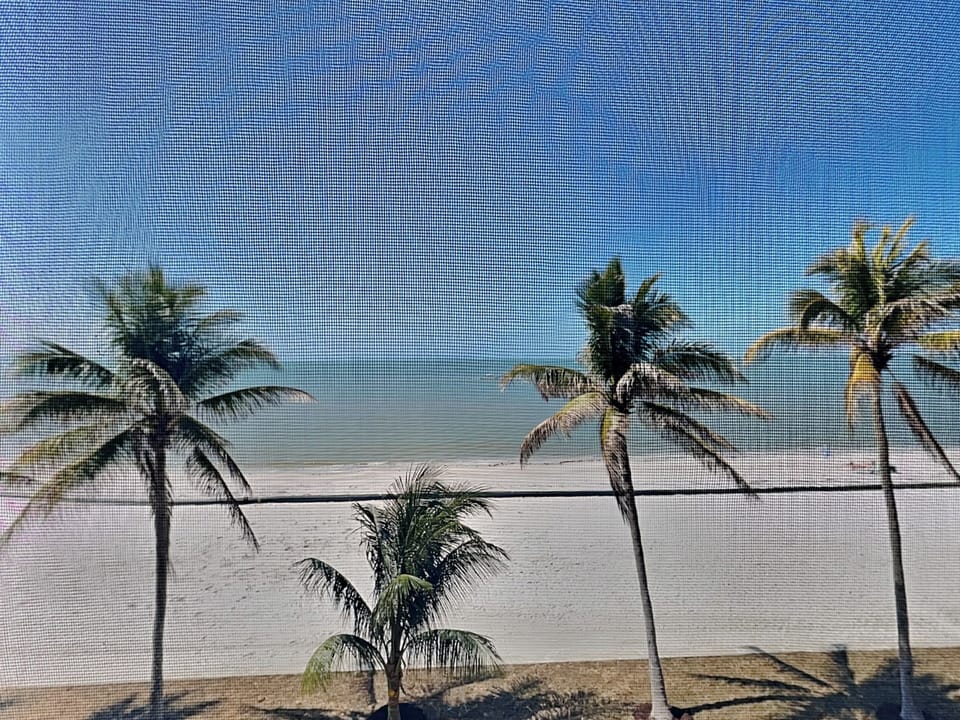 Seaside Resort 305 Beachfront Balcony View