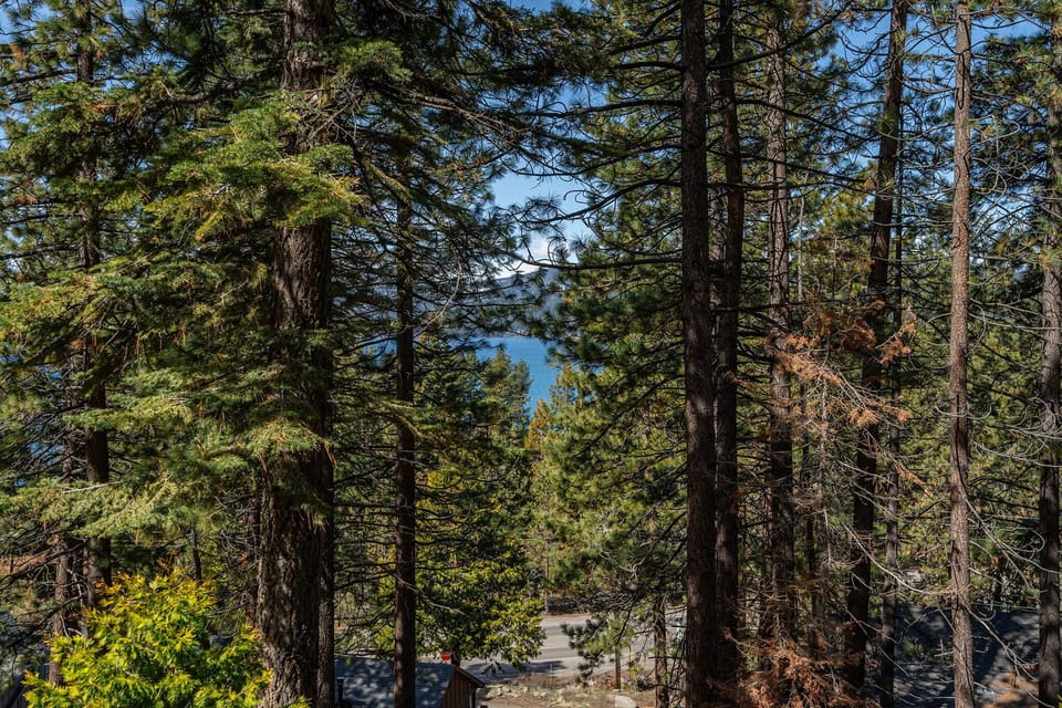 Filtered View from the deck Tahoe Blue Haus