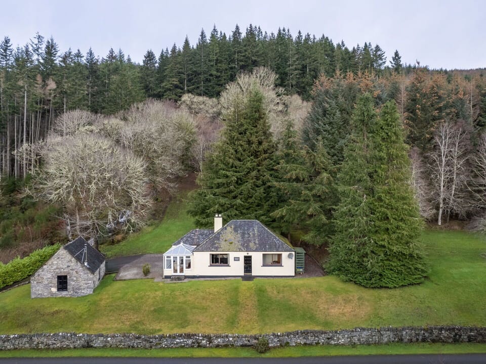 Tree, Grass, House, Cottage, Home, Shrub, Roof, Landscape, Rural Area, Farmhouse