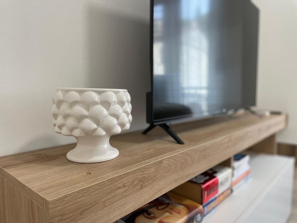 Television