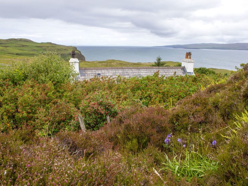 Residential Area, Shrub, Roof, Home, Cottage, Driveway, Estate, Siding, Landscaping, Yard
