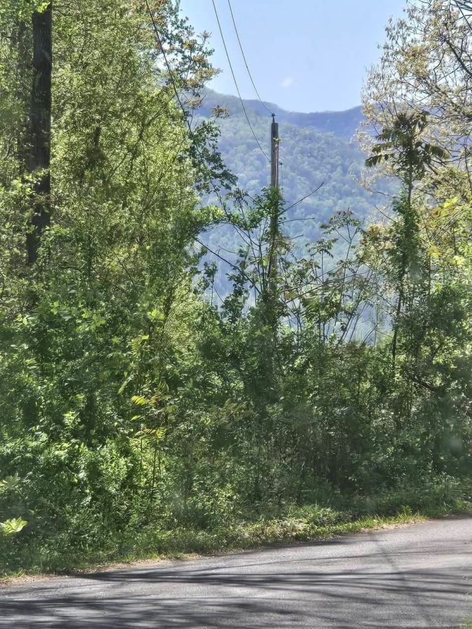 Scenic view of Vowell Mtn where you're able to start your Windrock adventure.