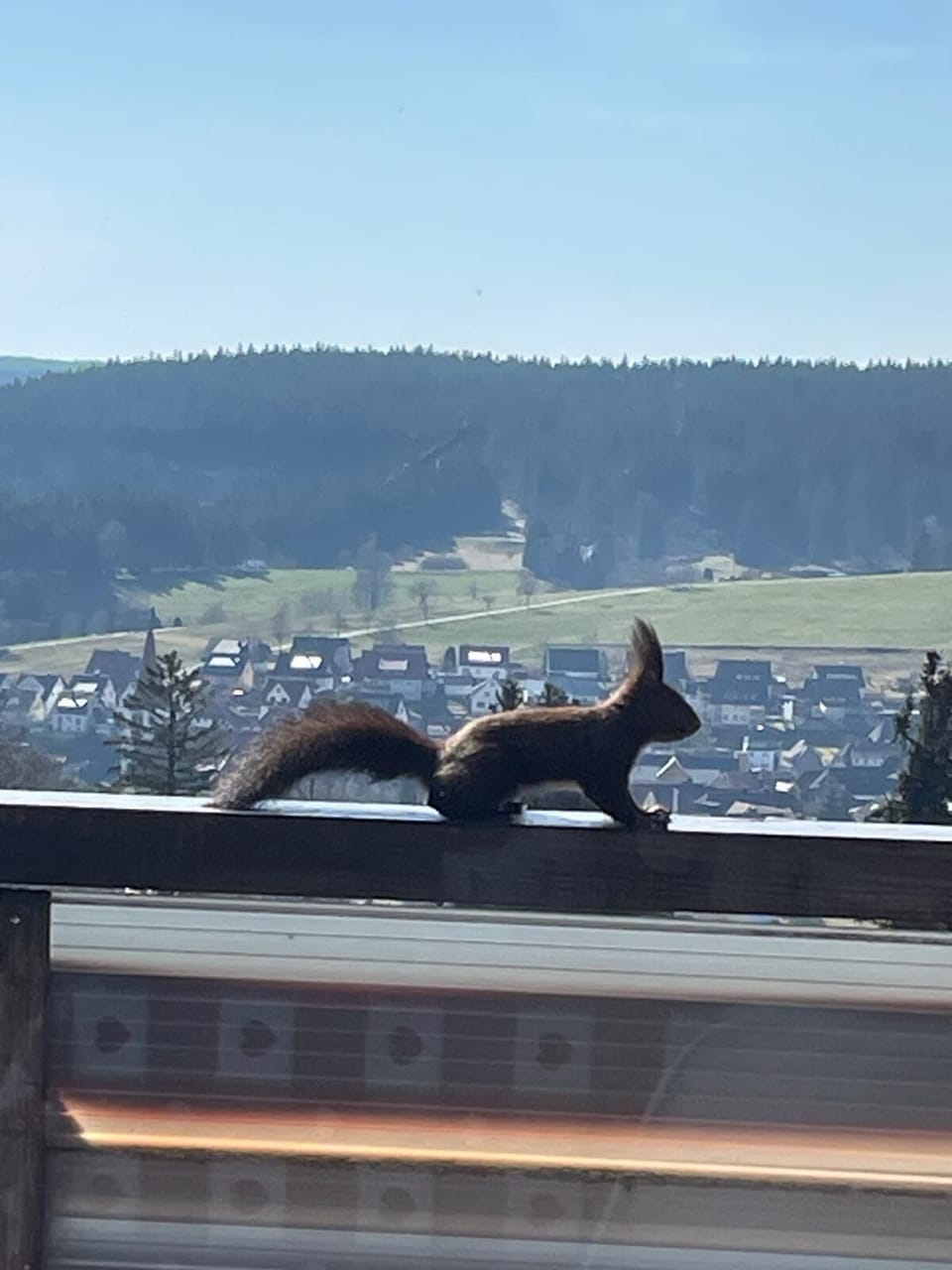View from property