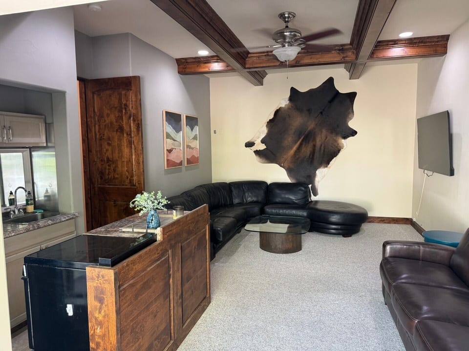 Bonus Room - Queen Pull Out Couch & Kitchenette