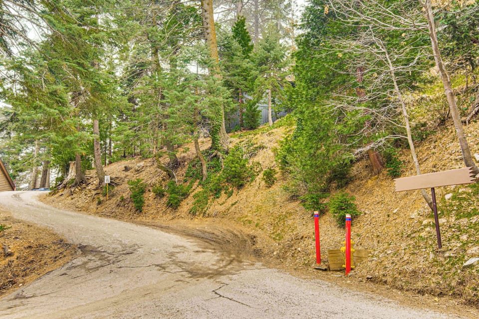 Property Surroundings