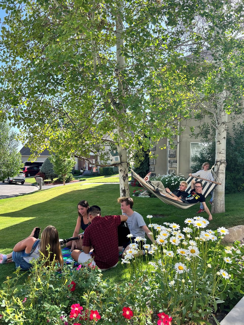 Property grounds