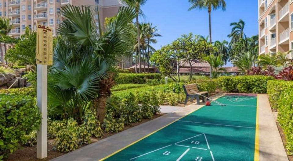 Sport court