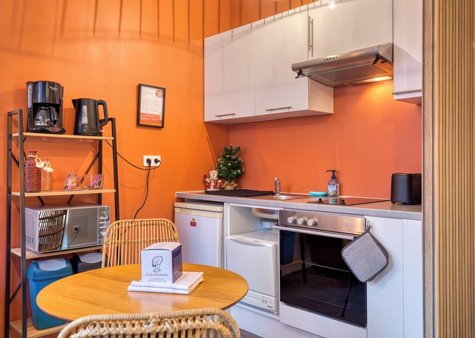 Cuisine ouverte sur séjour aménagée et équipée